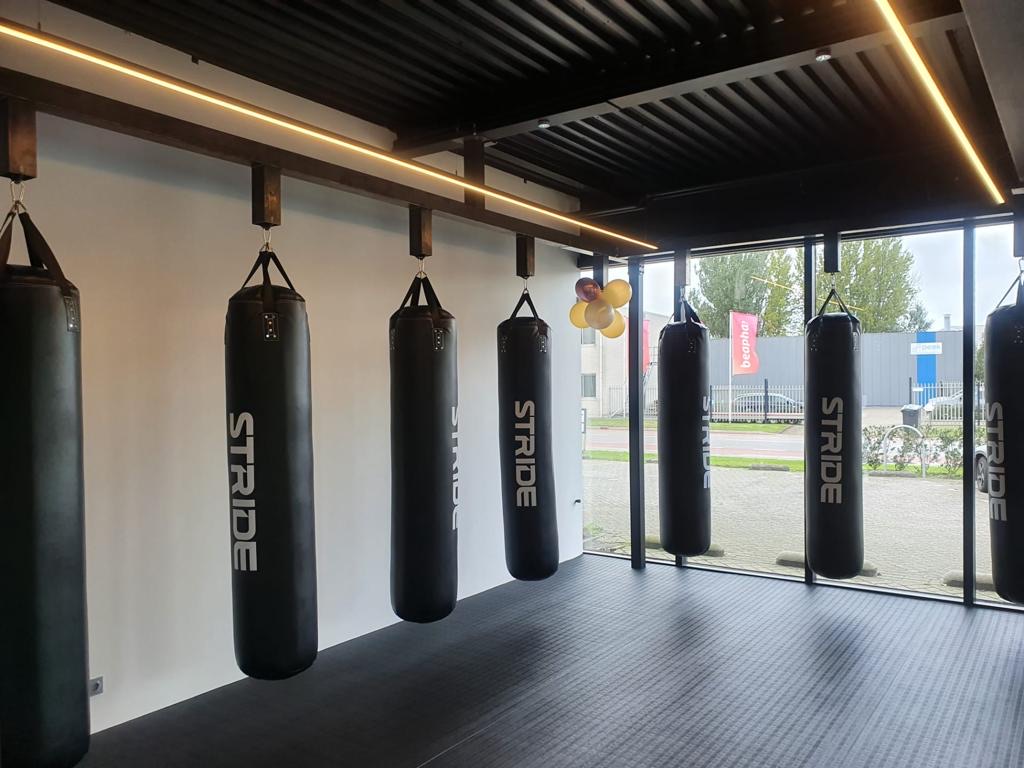 Boxing bags