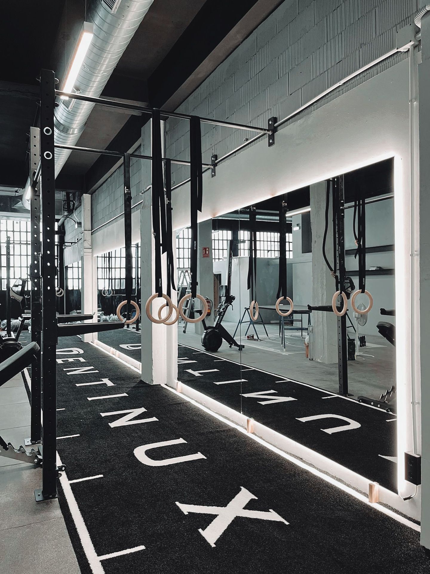 Gymnastic rings in gym