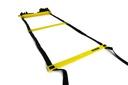 STRIDE Agility Ladder