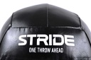 STRIDE Wall Ball (9kg)