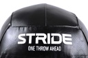 STRIDE Wall Ball (3kg)