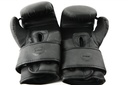 STRIDE Boxing gloves (pair; 10oz)