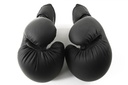 STRIDE Boxing gloves (pair; 10oz)