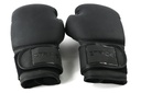 STRIDE Boxing gloves (pair; 10oz)