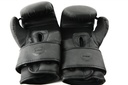 STRIDE Boxing gloves (pair; 16oz)