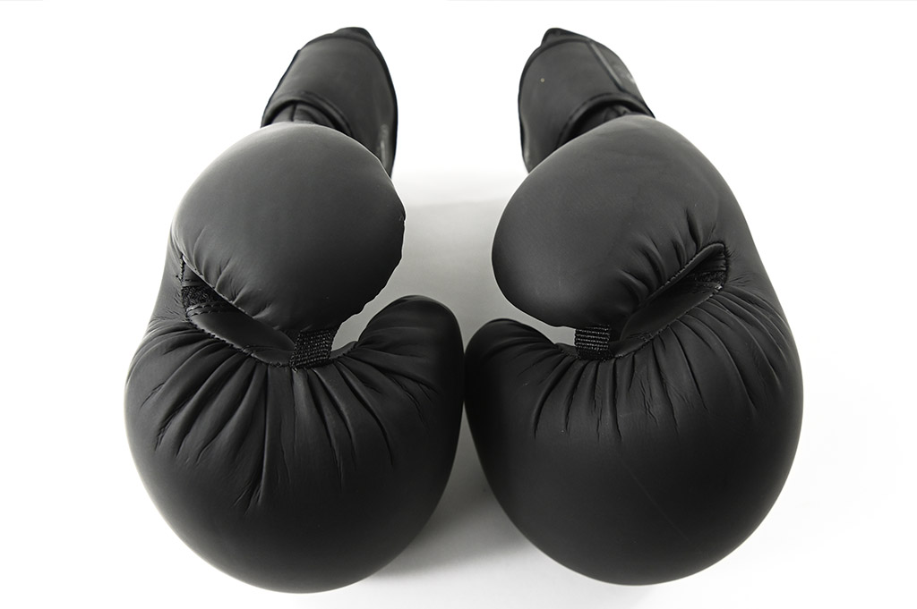 STRIDE Boxing gloves (pair; 16oz)