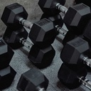 STRIDE Molded Hex Rubber Dumbbell (pair; 12,5kg)