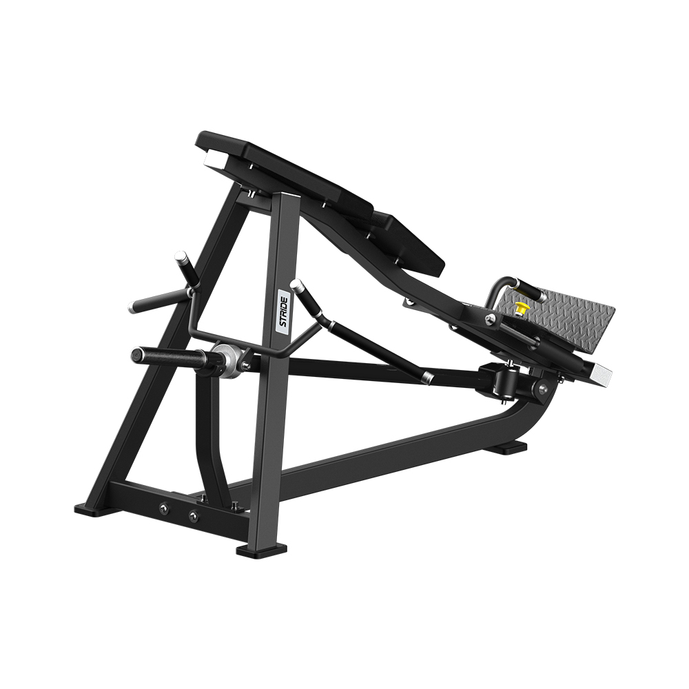 STRIDE Plate Loaded Pull Back