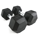 Hex Rubber Dumbbell (pair; 10kg) Discontinued Product
