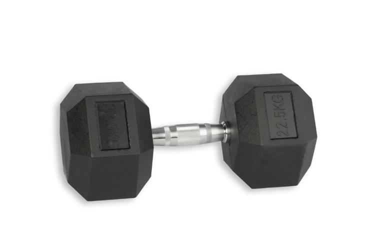Hex Rubber Dumbbell (pair; 22,5kg) Discontinued Product