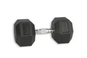 Hex Rubber Dumbbell (pair; 22,5kg) Discontinued Product