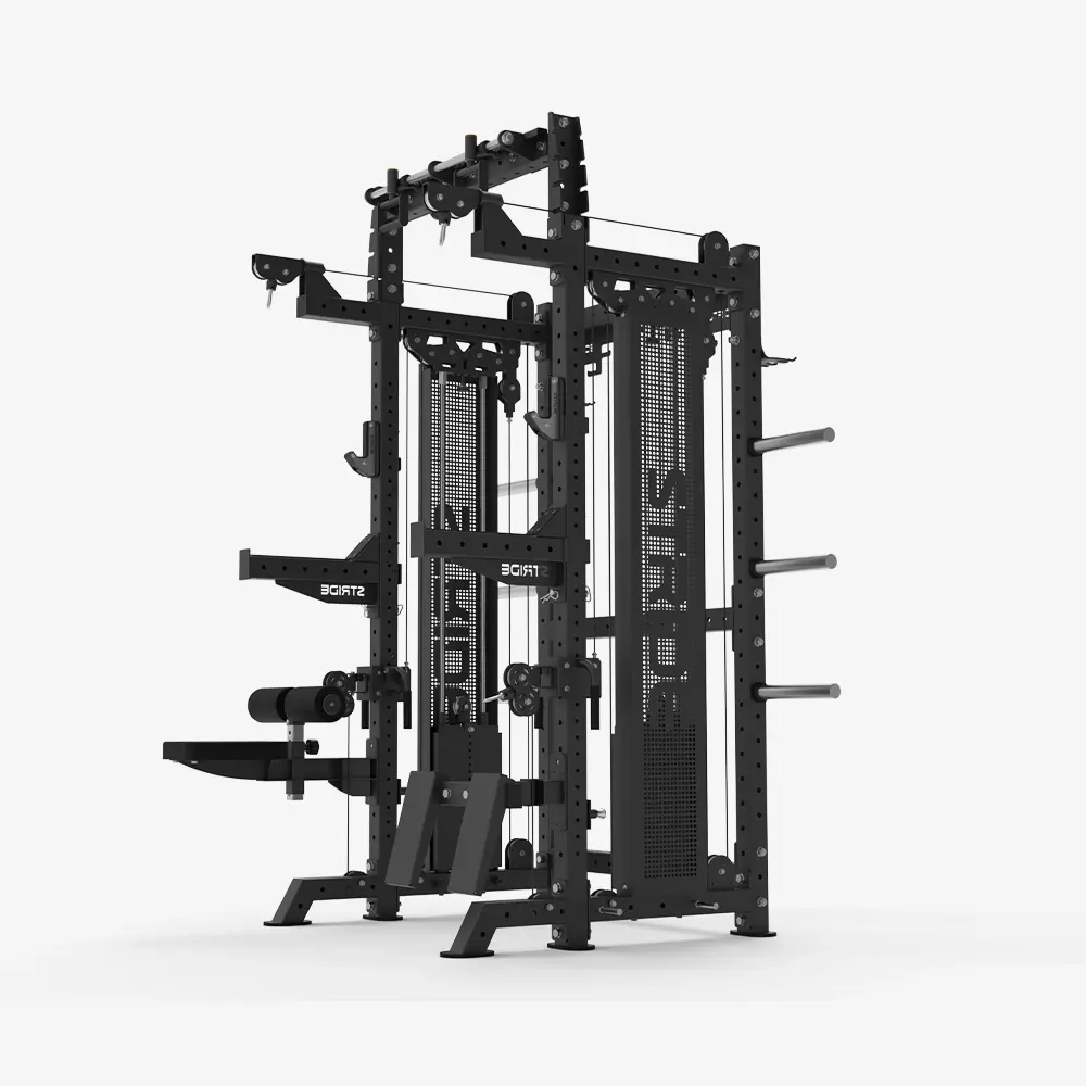 RAPTOR Multifunctional Power Beast Rack (weight stack)