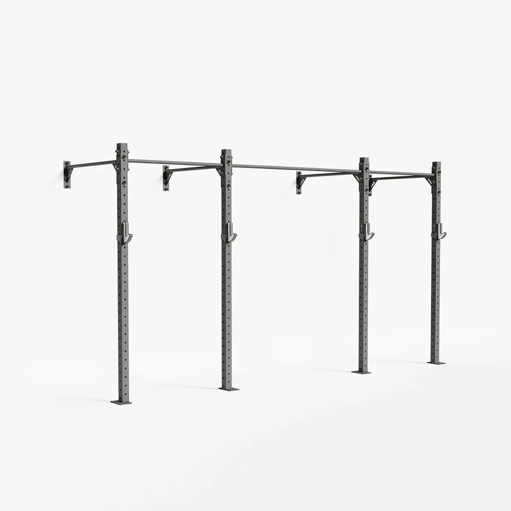 RAPTOR Wall-Mount Training Rig 2-1