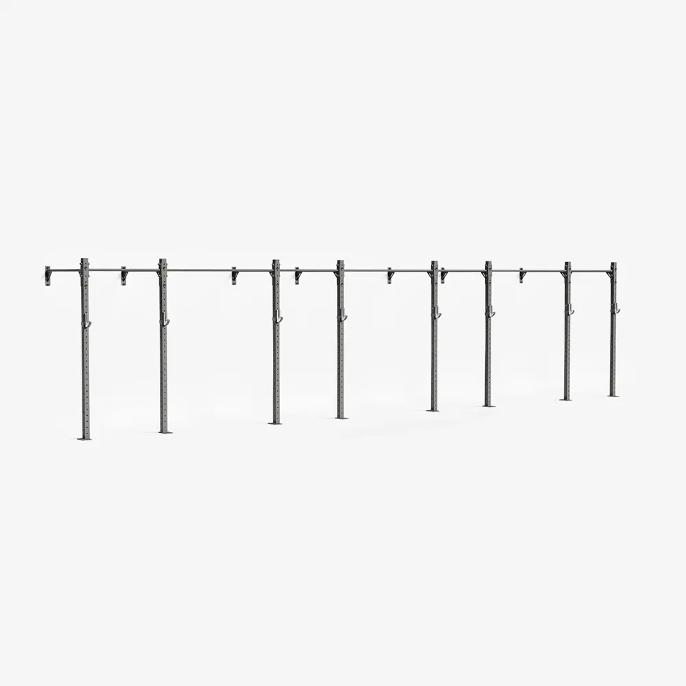 RAPTOR Wall-Mount Training Rig 4-3