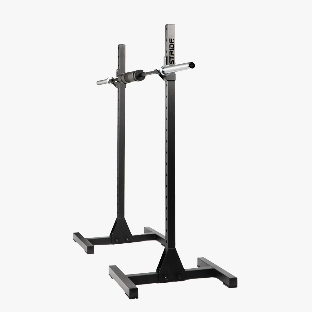 Raptor mobile squat rack