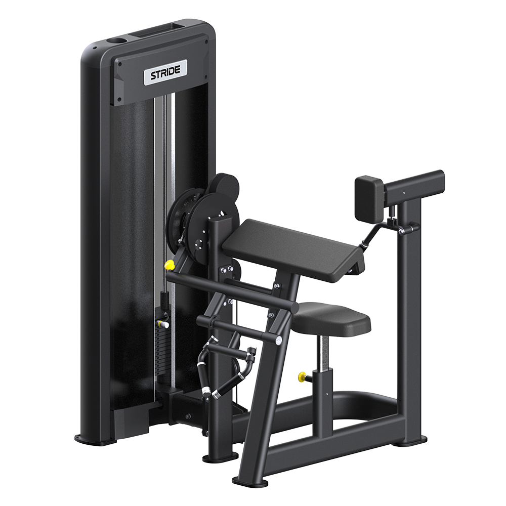 STRIDE Seated biceps/triceps