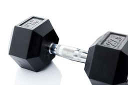 [STR-HEXDB275-PAIR] ​Hex Rubber Dumbbell (pair; 27,5kg) Discontinued Product
