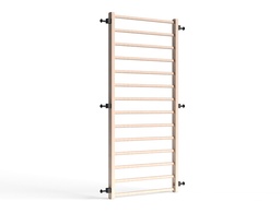 RAPTOR wooden ladder