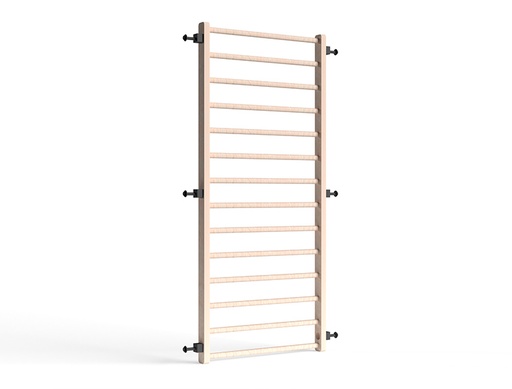RAPTOR wooden ladder