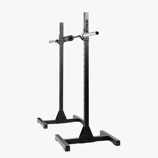 Raptor mobile squat rack