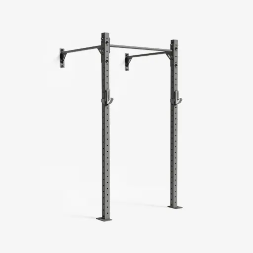 RAPTOR Wall-Mount Training Rig 1-0