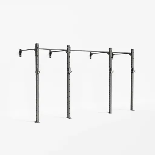 RAPTOR Wall-Mount Training Rig 2-1
