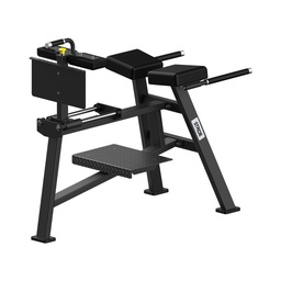 [STR-BACKEXTENSION-PL-8233] STRIDE Back extension