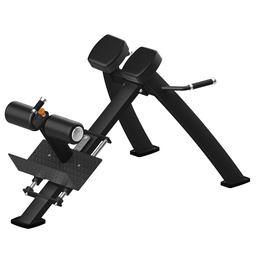 STRIDE Commercial Adjustable Back Extension (Roman Chair)