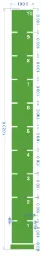 STRIDE Standard Track with numbers: Green 1m x 10m