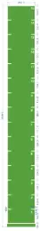 STRIDE Standard Track with numbers: Green 2m x 15m