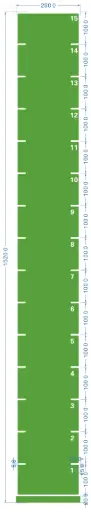 STRIDE Standard Track with numbers: Green 2m x 15m